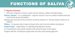 FUNCTIONS OF SALIVA
 Digestive Functions
• Saliva has 3 digestive enzymes, namely salivary amylase, maltase and lingual lipase.
Salivary Amylase – it is a carbohydrate – digestive enzyme. It acts on cooked or boiled starch and
converts into dextrin and maltose.
Optimum pH, necessary for the activation of salivary amylase is 6. salivary amylase cannot act on
cellulose.
Maltase – It is present only in traces in human saliva and it converts maltose into glucose.
Lingual Lipase – lingual lipase is a lipid digesting (lipolytic) enzyme.
It is secreted from serous glands situated on the posterior aspect of the tongue.
It digests milk fats. It hydrolyses triglycerides into fatty acids and diacylglycerol.
 