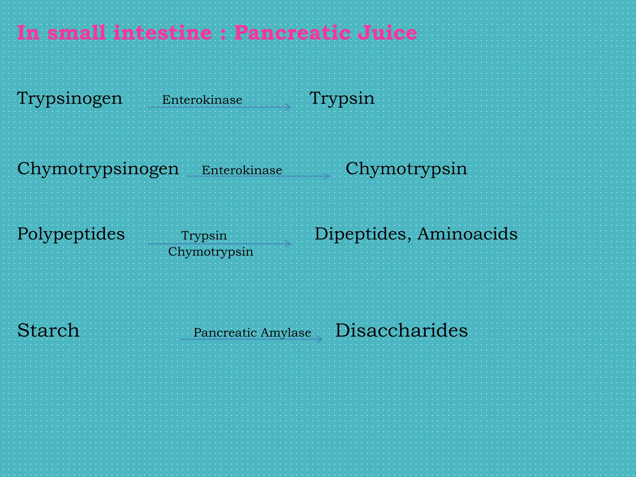 In small intestine : Pancreatic Juice
Trypsinogen Enterokinase Trypsin
Chymotrypsinogen Enterokinase Chymotrypsin
Polypeptides Trypsin Dipeptides, Aminoacids
Chymotrypsin
Starch Pancreatic Amylase Disaccharides
 