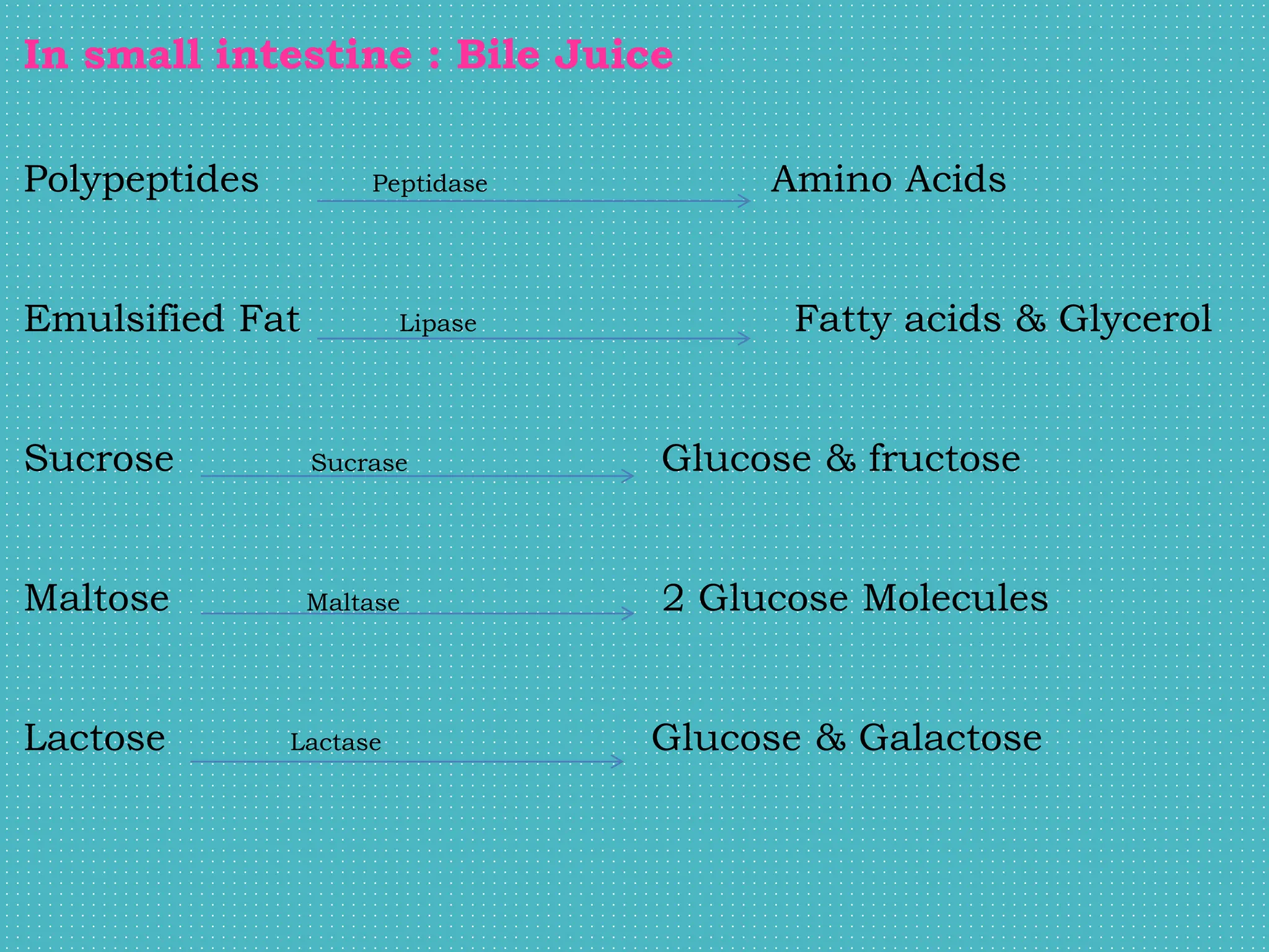 In small intestine : Bile Juice
Polypeptides Peptidase Amino Acids
Emulsified Fat Lipase Fatty acids & Glycerol
Sucrose Sucrase Glucose & fructose
Maltose Maltase 2 Glucose Molecules
Lactose Lactase Glucose & Galactose
 