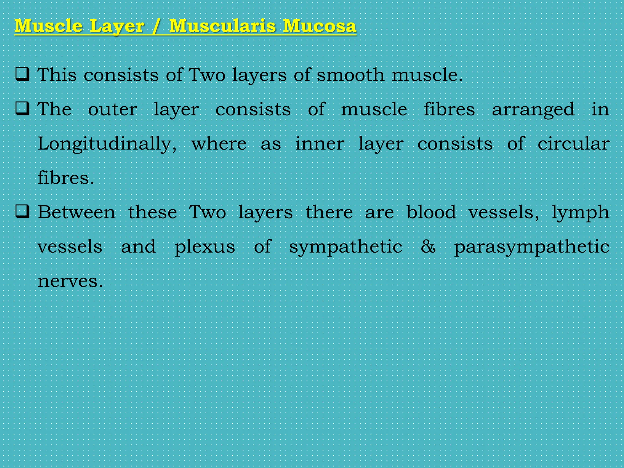 Muscle Layer / Muscularis Mucosa
 This consists of Two layers of smooth muscle.
 The outer layer consists of muscle fibres arranged in
Longitudinally, where as inner layer consists of circular
fibres.
 Between these Two layers there are blood vessels, lymph
vessels and plexus of sympathetic & parasympathetic
nerves.
 