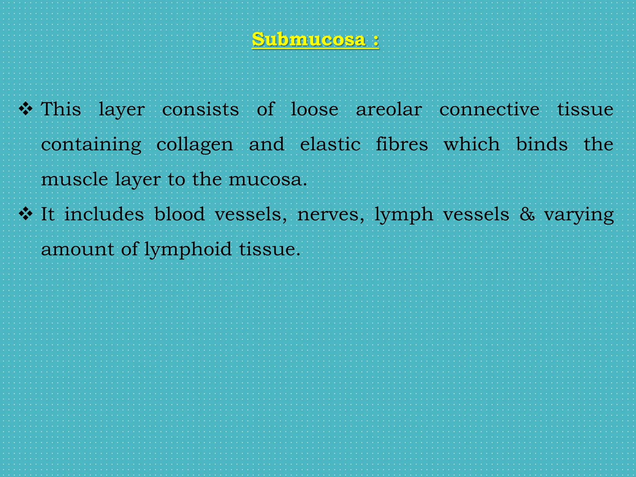 Submucosa :
 This layer consists of loose areolar connective tissue
containing collagen and elastic fibres which binds the
muscle layer to the mucosa.
 It includes blood vessels, nerves, lymph vessels & varying
amount of lymphoid tissue.
 