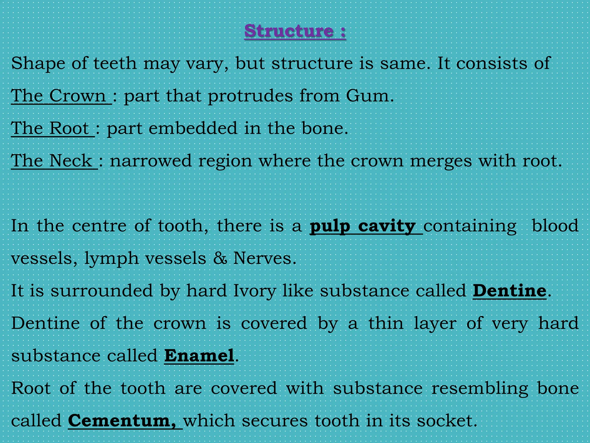 Structure :
Shape of teeth may vary, but structure is same. It consists of
The Crown : part that protrudes from Gum.
The Root : part embedded in the bone.
The Neck : narrowed region where the crown merges with root.
In the centre of tooth, there is a pulp cavity containing blood
vessels, lymph vessels & Nerves.
It is surrounded by hard Ivory like substance called Dentine.
Dentine of the crown is covered by a thin layer of very hard
substance called Enamel.
Root of the tooth are covered with substance resembling bone
called Cementum, which secures tooth in its socket.
 
