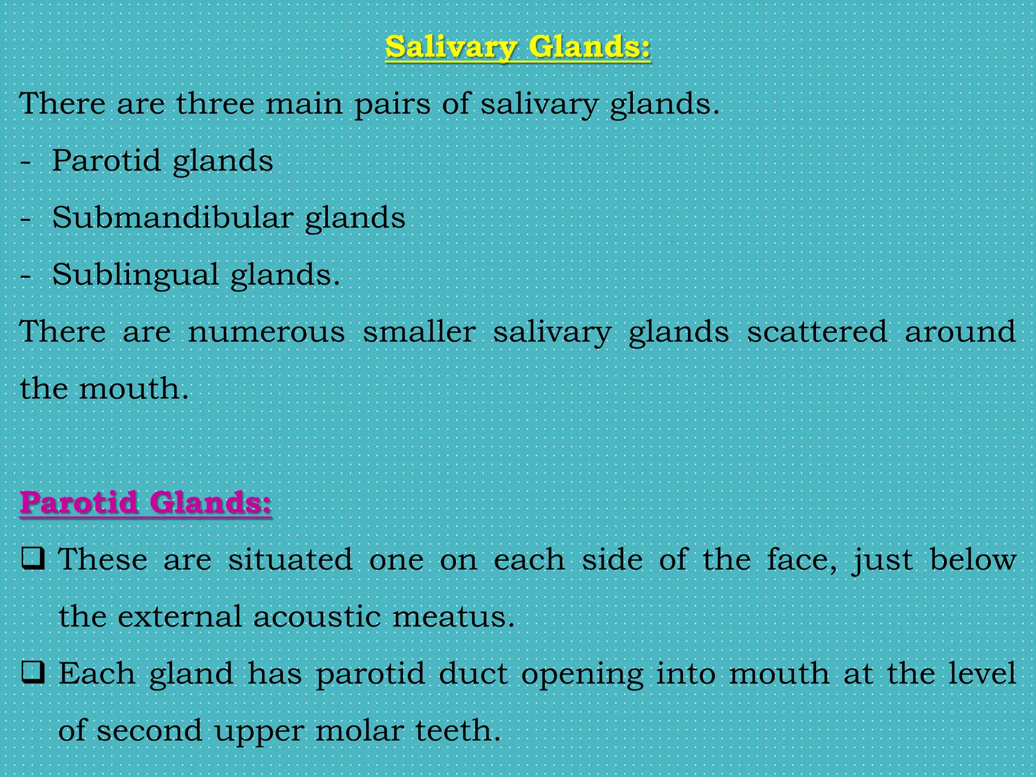 Salivary Glands:
There are three main pairs of salivary glands.
- Parotid glands
- Submandibular glands
- Sublingual glands.
There are numerous smaller salivary glands scattered around
the mouth.
Parotid Glands:
 These are situated one on each side of the face, just below
the external acoustic meatus.
 Each gland has parotid duct opening into mouth at the level
of second upper molar teeth.
 