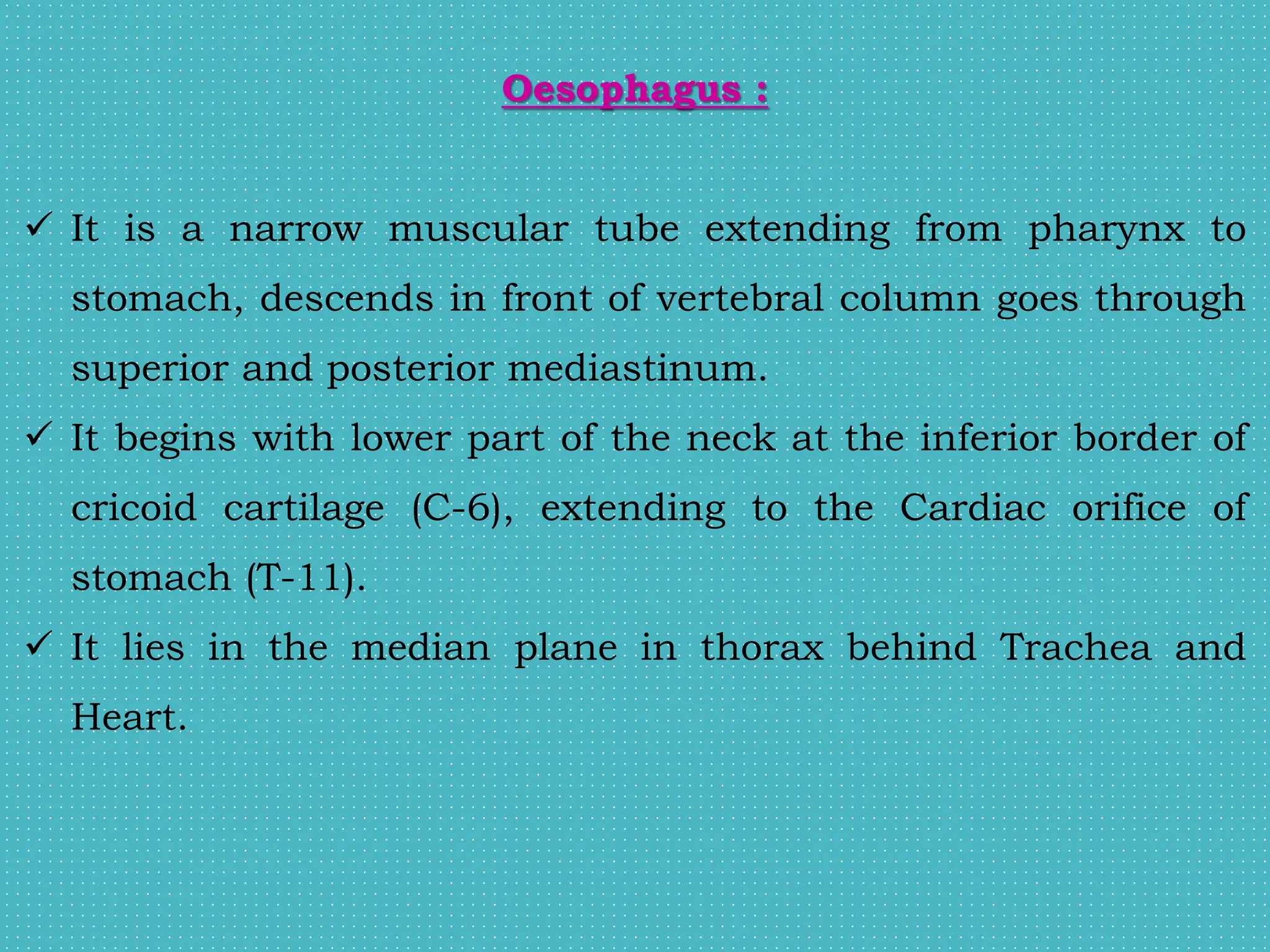 Oesophagus :
 It is a narrow muscular tube extending from pharynx to
stomach, descends in front of vertebral column goes through
superior and posterior mediastinum.
 It begins with lower part of the neck at the inferior border of
cricoid cartilage (C-6), extending to the Cardiac orifice of
stomach (T-11).
 It lies in the median plane in thorax behind Trachea and
Heart.
 