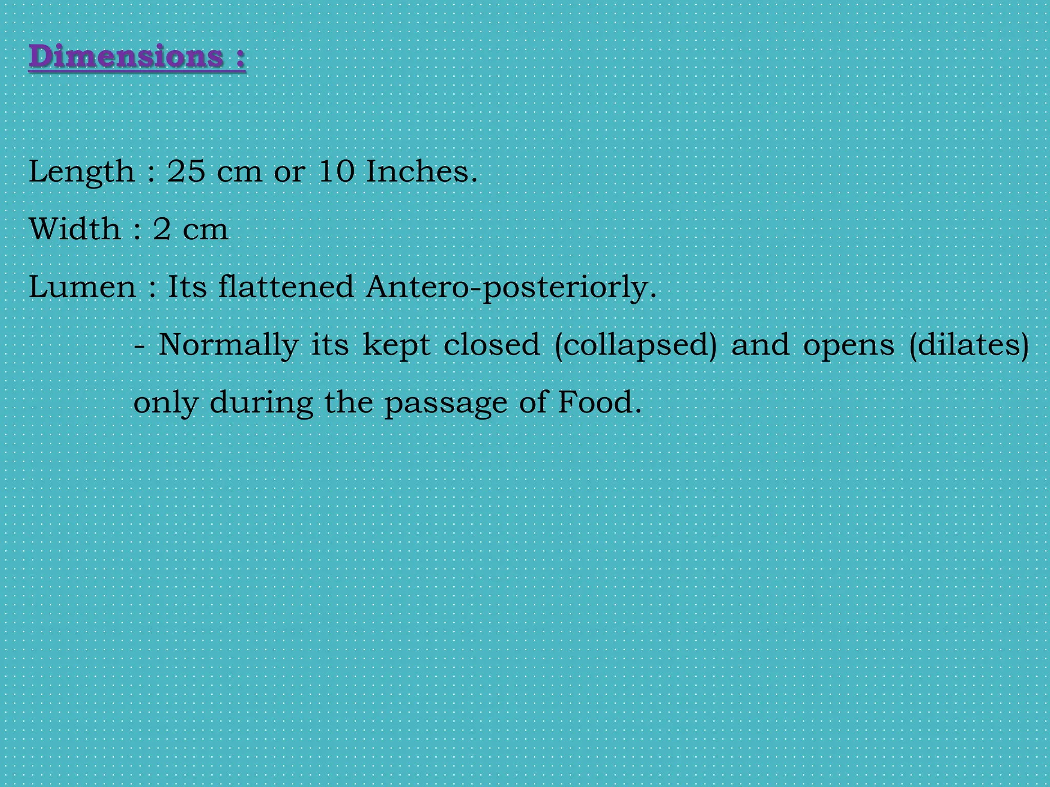 Dimensions :
Length : 25 cm or 10 Inches.
Width : 2 cm
Lumen : Its flattened Antero-posteriorly.
- Normally its kept closed (collapsed) and opens (dilates)
only during the passage of Food.
 