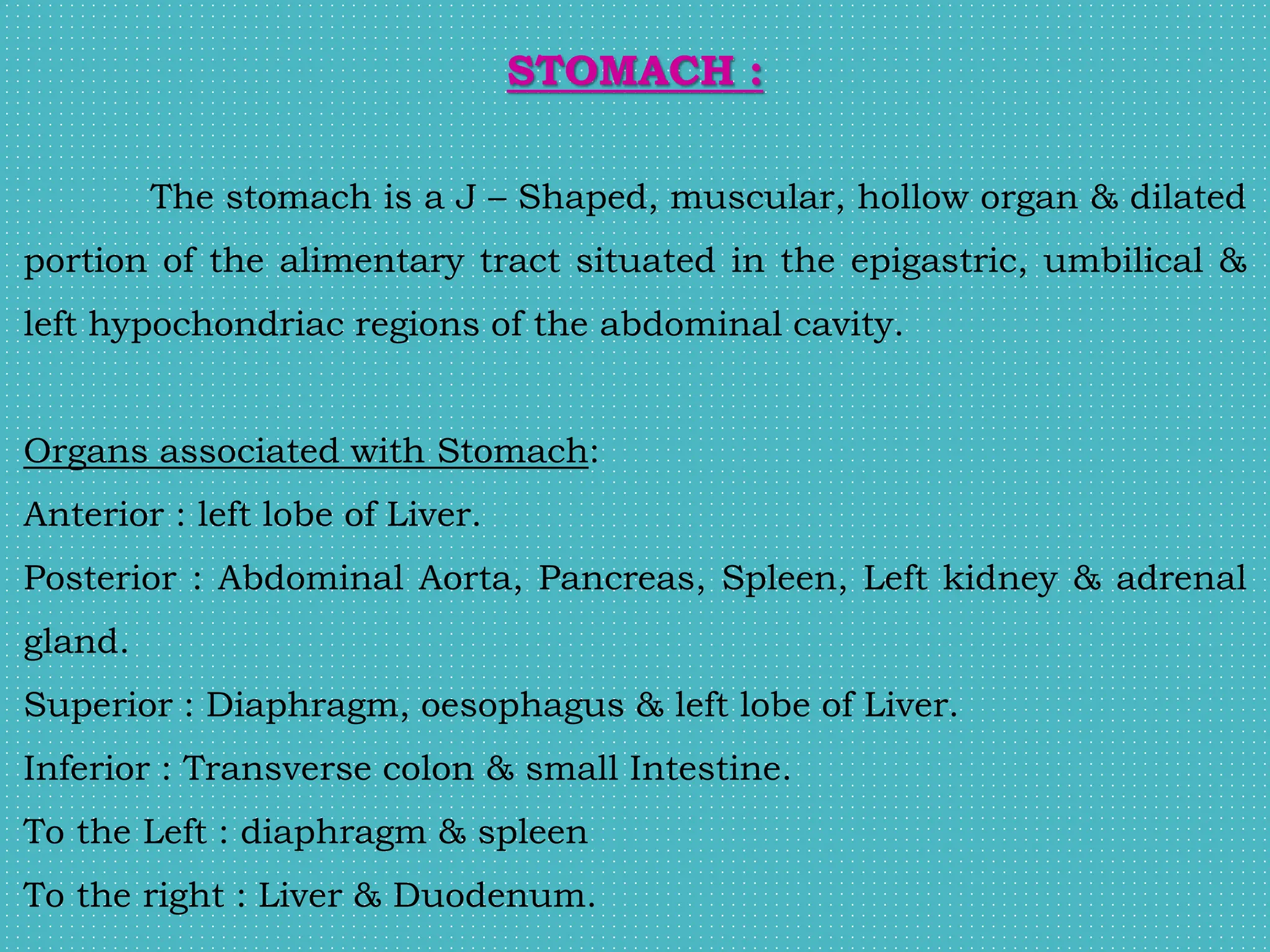 STOMACH :
The stomach is a J – Shaped, muscular, hollow organ & dilated
portion of the alimentary tract situated in the epigastric, umbilical &
left hypochondriac regions of the abdominal cavity.
Organs associated with Stomach:
Anterior : left lobe of Liver.
Posterior : Abdominal Aorta, Pancreas, Spleen, Left kidney & adrenal
gland.
Superior : Diaphragm, oesophagus & left lobe of Liver.
Inferior : Transverse colon & small Intestine.
To the Left : diaphragm & spleen
To the right : Liver & Duodenum.
 