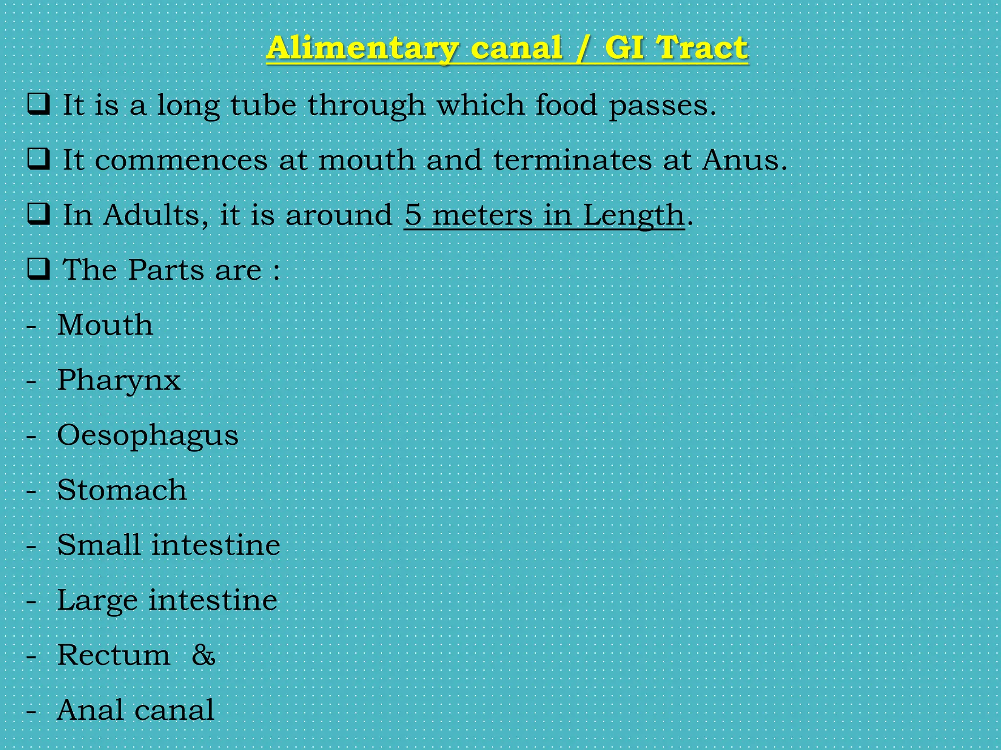 Alimentary canal / GI Tract
 It is a long tube through which food passes.
 It commences at mouth and terminates at Anus.
 In Adults, it is around 5 meters in Length.
 The Parts are :
- Mouth
- Pharynx
- Oesophagus
- Stomach
- Small intestine
- Large intestine
- Rectum &
- Anal canal
 