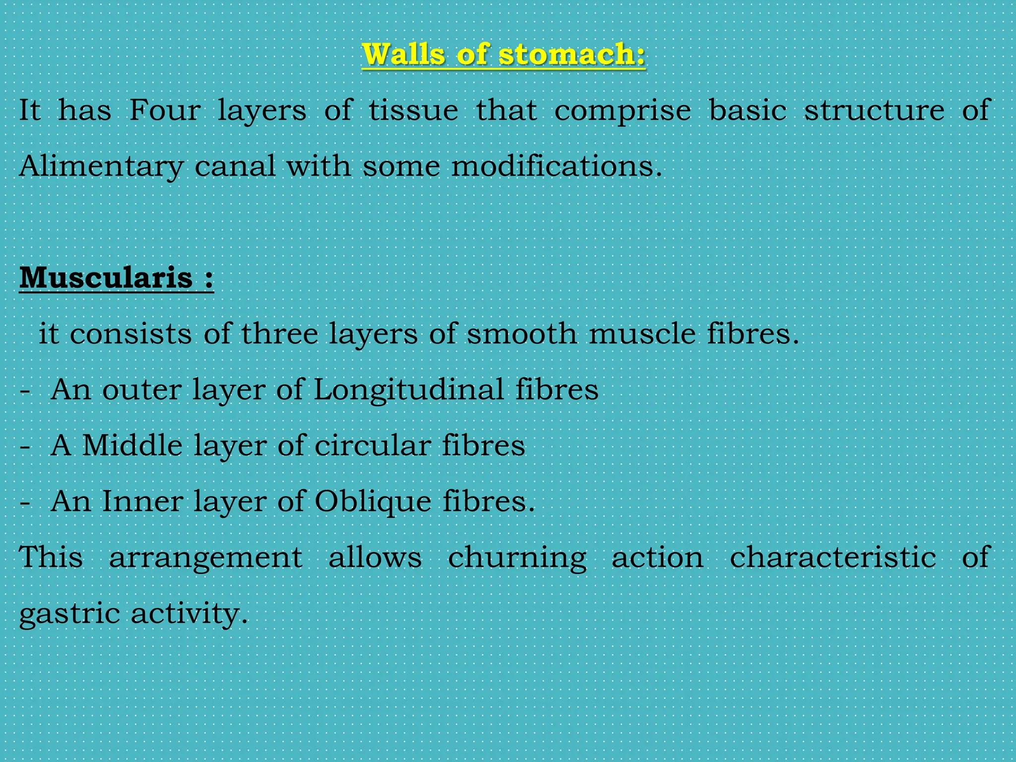 Walls of stomach:
It has Four layers of tissue that comprise basic structure of
Alimentary canal with some modifications.
Muscularis :
it consists of three layers of smooth muscle fibres.
- An outer layer of Longitudinal fibres
- A Middle layer of circular fibres
- An Inner layer of Oblique fibres.
This arrangement allows churning action characteristic of
gastric activity.
 