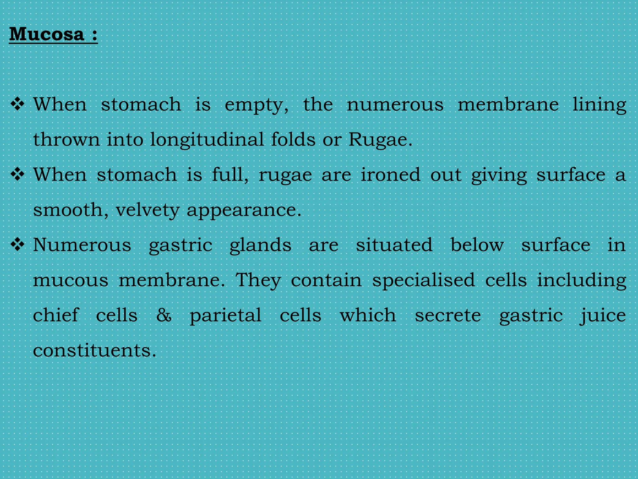 Mucosa :
 When stomach is empty, the numerous membrane lining
thrown into longitudinal folds or Rugae.
 When stomach is full, rugae are ironed out giving surface a
smooth, velvety appearance.
 Numerous gastric glands are situated below surface in
mucous membrane. They contain specialised cells including
chief cells & parietal cells which secrete gastric juice
constituents.
 