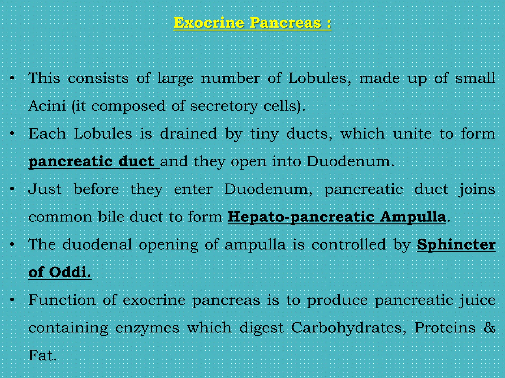 Exocrine Pancreas :
• This consists of large number of Lobules, made up of small
Acini (it composed of secretory cells).
• Each Lobules is drained by tiny ducts, which unite to form
pancreatic duct and they open into Duodenum.
• Just before they enter Duodenum, pancreatic duct joins
common bile duct to form Hepato-pancreatic Ampulla.
• The duodenal opening of ampulla is controlled by Sphincter
of Oddi.
• Function of exocrine pancreas is to produce pancreatic juice
containing enzymes which digest Carbohydrates, Proteins &
Fat.
 