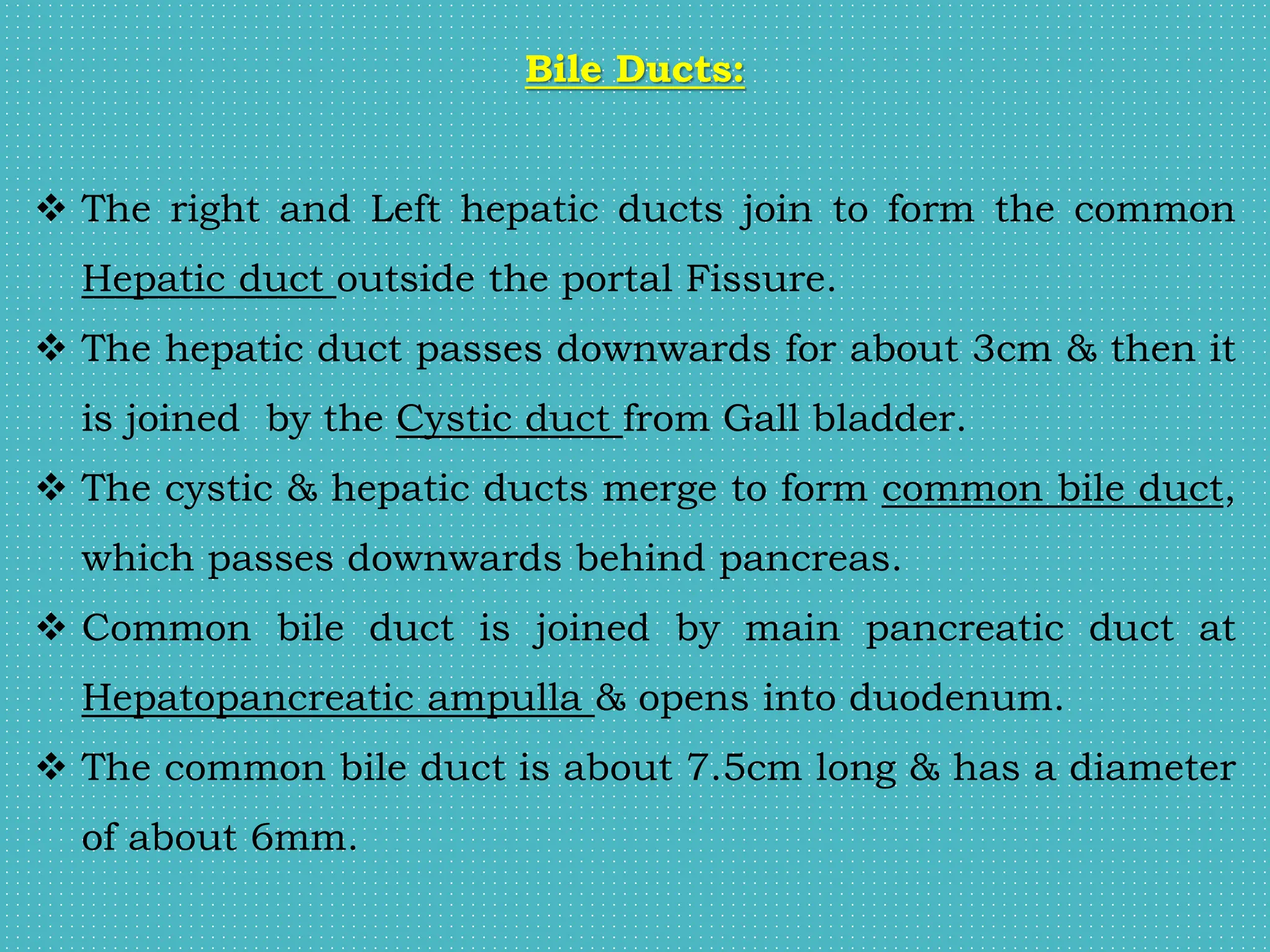 Bile Ducts:
 The right and Left hepatic ducts join to form the common
Hepatic duct outside the portal Fissure.
 The hepatic duct passes downwards for about 3cm & then it
is joined by the Cystic duct from Gall bladder.
 The cystic & hepatic ducts merge to form common bile duct,
which passes downwards behind pancreas.
 Common bile duct is joined by main pancreatic duct at
Hepatopancreatic ampulla & opens into duodenum.
 The common bile duct is about 7.5cm long & has a diameter
of about 6mm.
 