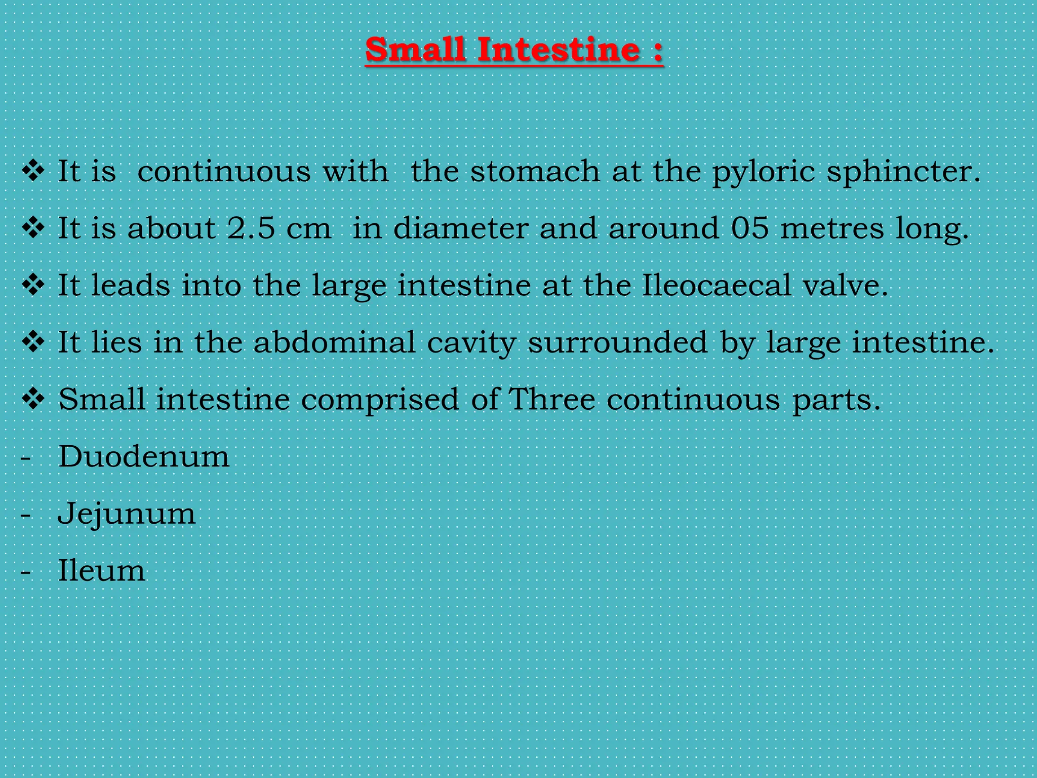 Small Intestine :
 It is continuous with the stomach at the pyloric sphincter.
 It is about 2.5 cm in diameter and around 05 metres long.
 It leads into the large intestine at the Ileocaecal valve.
 It lies in the abdominal cavity surrounded by large intestine.
 Small intestine comprised of Three continuous parts.
- Duodenum
- Jejunum
- Ileum
 