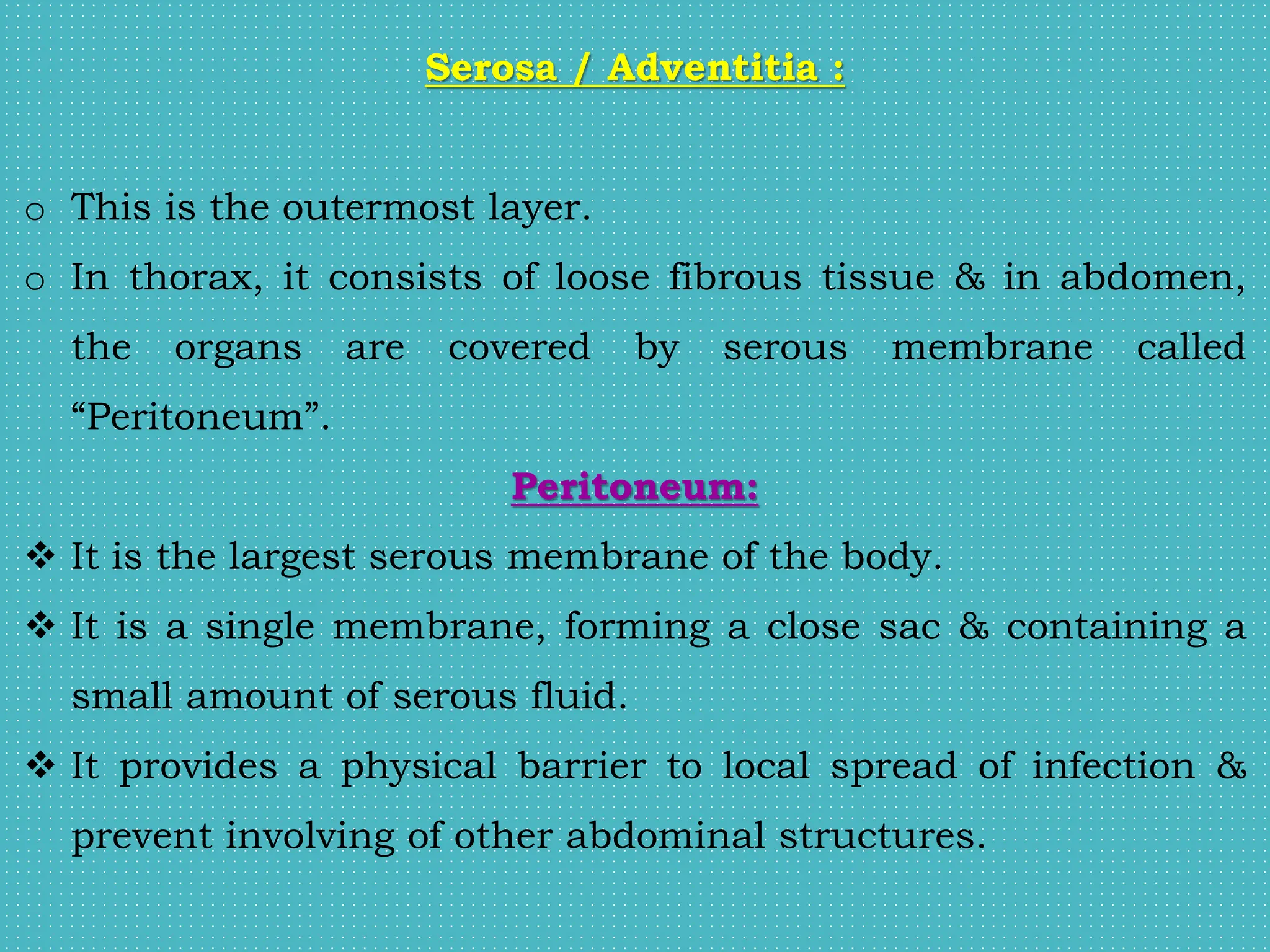 Serosa / Adventitia :
o This is the outermost layer.
o In thorax, it consists of loose fibrous tissue & in abdomen,
the organs are covered by serous membrane called
“Peritoneum”.
Peritoneum:
 It is the largest serous membrane of the body.
 It is a single membrane, forming a close sac & containing a
small amount of serous fluid.
 It provides a physical barrier to local spread of infection &
prevent involving of other abdominal structures.
 