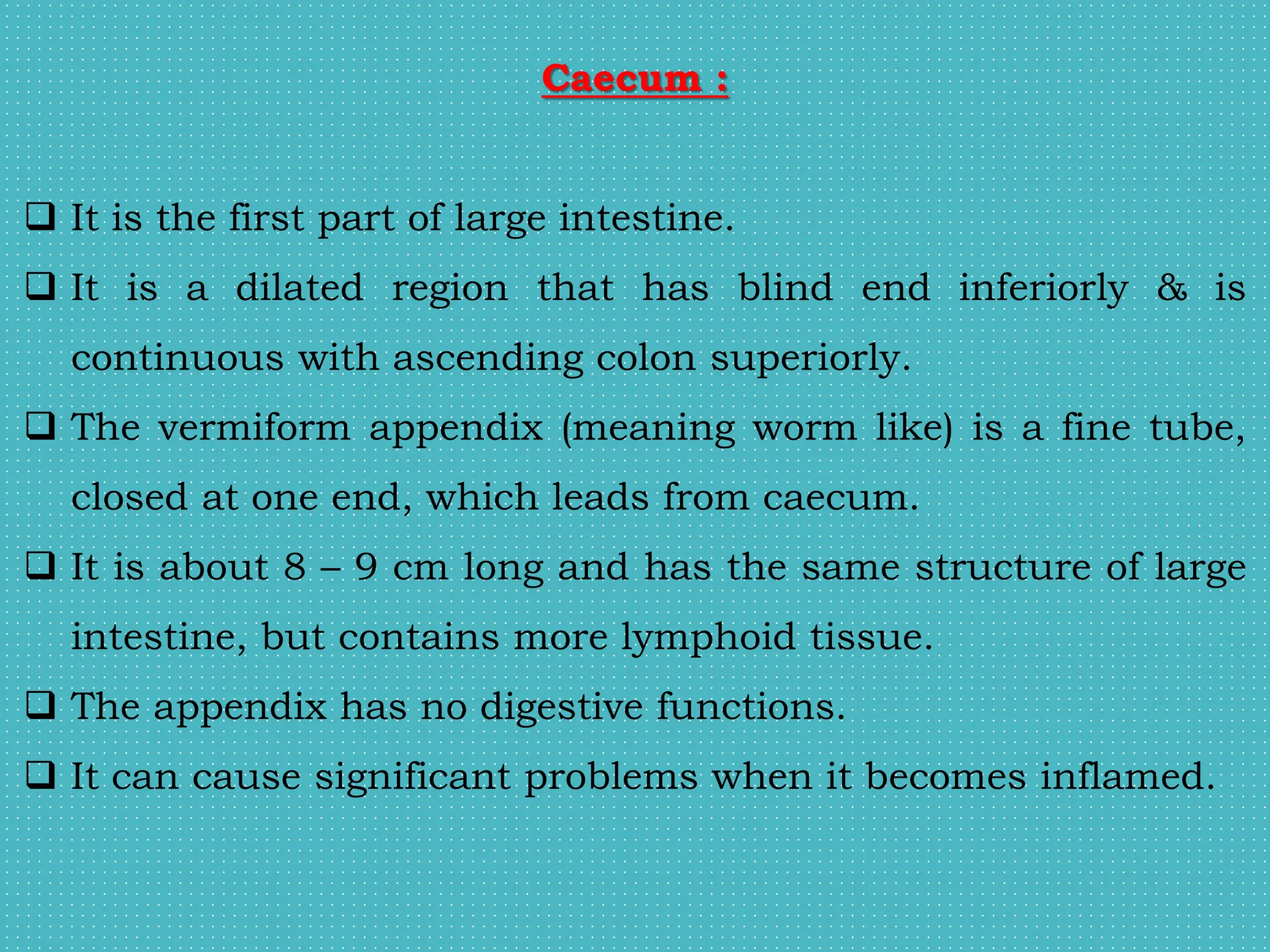 Caecum :
 It is the first part of large intestine.
 It is a dilated region that has blind end inferiorly & is
continuous with ascending colon superiorly.
 The vermiform appendix (meaning worm like) is a fine tube,
closed at one end, which leads from caecum.
 It is about 8 – 9 cm long and has the same structure of large
intestine, but contains more lymphoid tissue.
 The appendix has no digestive functions.
 It can cause significant problems when it becomes inflamed.
 