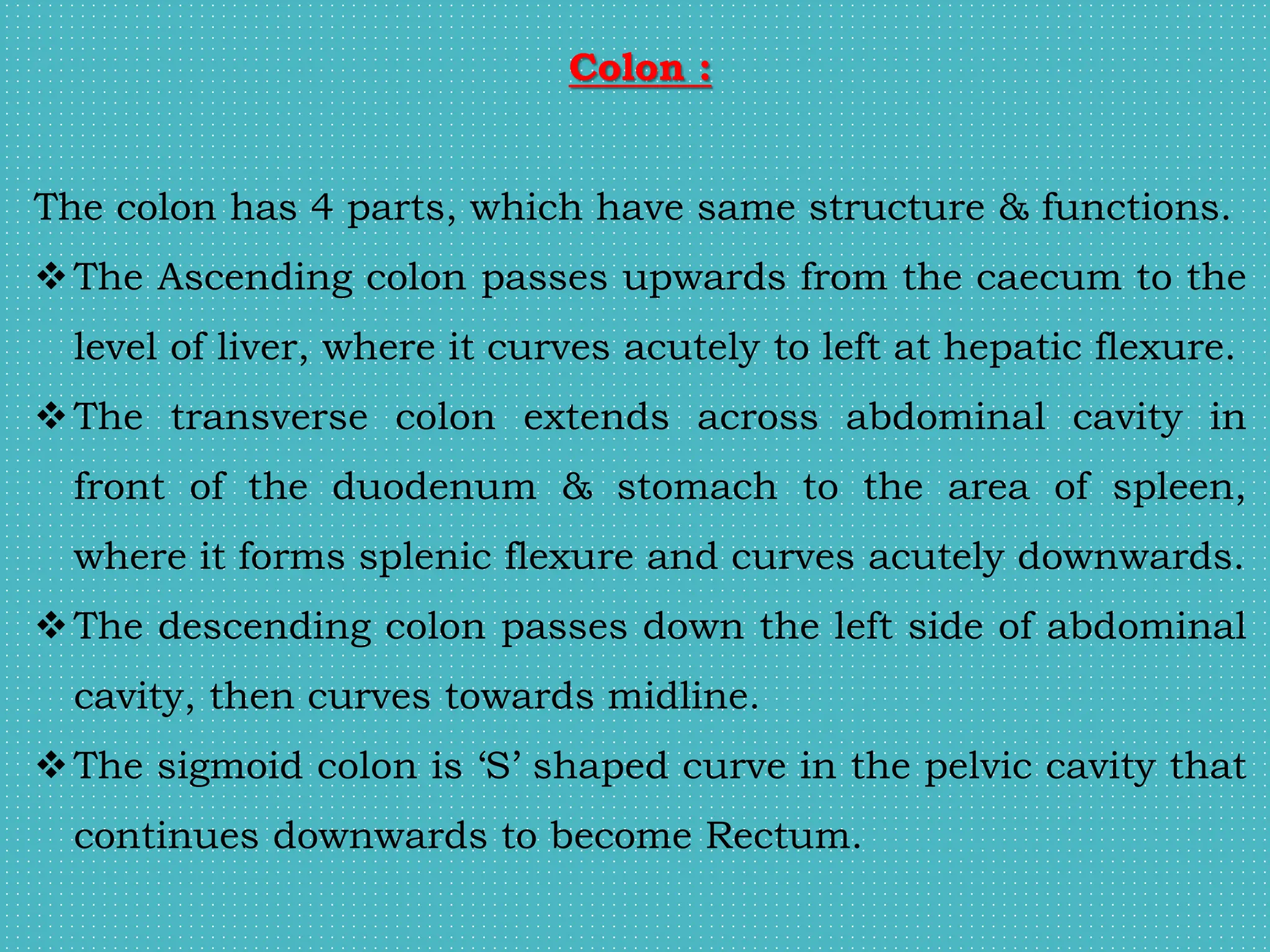 Colon :
The colon has 4 parts, which have same structure & functions.
The Ascending colon passes upwards from the caecum to the
level of liver, where it curves acutely to left at hepatic flexure.
The transverse colon extends across abdominal cavity in
front of the duodenum & stomach to the area of spleen,
where it forms splenic flexure and curves acutely downwards.
The descending colon passes down the left side of abdominal
cavity, then curves towards midline.
The sigmoid colon is ‘S’ shaped curve in the pelvic cavity that
continues downwards to become Rectum.
 