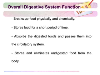 Overall Digestive System Function
 - Breaks up food physically and chemically.
 - Stores food for a short period of time.
 - Absorbs the digested foods and passes them into
the circulatory system.
 - Stores and eliminates undigested food from the
body.
 