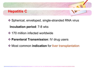 Hepatitis C
 Spherical, enveloped, single-stranded RNA virus
Incubation period: 7-8 wks
 170 million infected worldwide
 Parenteral Transmission: IV drug users
 Most common indication for liver transplantation
 