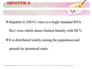 HEPATITIS G
Hepatitis G (HGV) virus is a single stranded RNA
flavi virus which shares limited identity with HCV.
It is distributed widely among the population and
spreads by parenteral route.
 