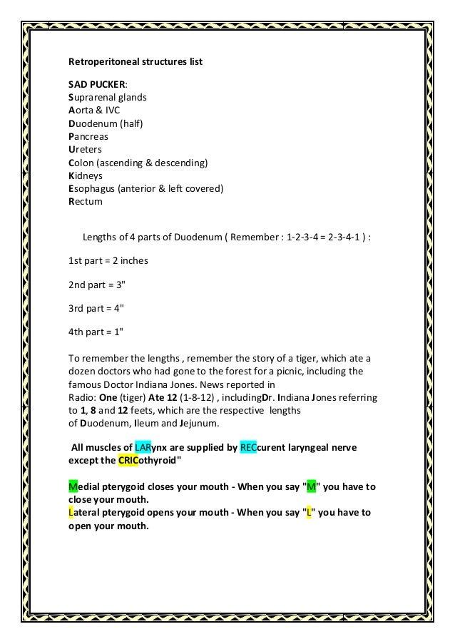 Diagram Of The Pancreas Kidneys