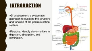 Gi Slideshow gi system ppt.pptx medical surgical nursing | PPTX