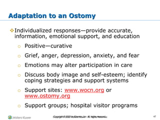 Copyright © 2022 Wolters Kluwer · All Rights Reserved
❖Individualized responses—provide accurate,
information, emotional support, and education
o Positive—curative
o Grief, anger, depression, anxiety, and fear
o Emotions may alter participation in care
o Discuss body image and self-esteem; identify
coping strategies and support systems
o Support sites: www.wocn.org or
www.ostomy.org
o Support groups; hospital visitor programs
Adaptation to an Ostomy
Copyright © 2020 by Elsevier, Inc. All rights reserved. 47
 