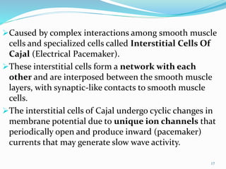 .
17
Caused by complex interactions among smooth muscle
cells and specialized cells called Interstitial Cells Of
Cajal (Electrical Pacemaker).
These interstitial cells form a network with each
other and are interposed between the smooth muscle
layers, with synaptic-like contacts to smooth muscle
cells.
The interstitial cells of Cajal undergo cyclic changes in
membrane potential due to unique ion channels that
periodically open and produce inward (pacemaker)
currents that may generate slow wave activity.
 