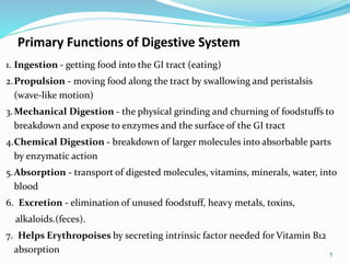 Primary Functions of Digestive System
1. Ingestion - getting food into the GI tract (eating)
2.Propulsion - moving food along the tract by swallowing and peristalsis
(wave-like motion)
3.Mechanical Digestion - the physical grinding and churning of foodstuffs to
breakdown and expose to enzymes and the surface of the GI tract
4.Chemical Digestion - breakdown of larger molecules into absorbable parts
by enzymatic action
5.Absorption - transport of digested molecules, vitamins, minerals, water, into
blood
6. Excretion - elimination of unused foodstuff, heavy metals, toxins,
alkaloids.(feces).
7. Helps Erythropoises by secreting intrinsic factor needed for Vitamin B12
absorption 5
 