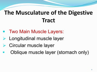 The Musculature of the Digestive
Tract
 Two Main Muscle Layers:
 Longitudinal muscle layer
 Circular muscle layer
 Oblique muscle layer (stomach only)
9
 