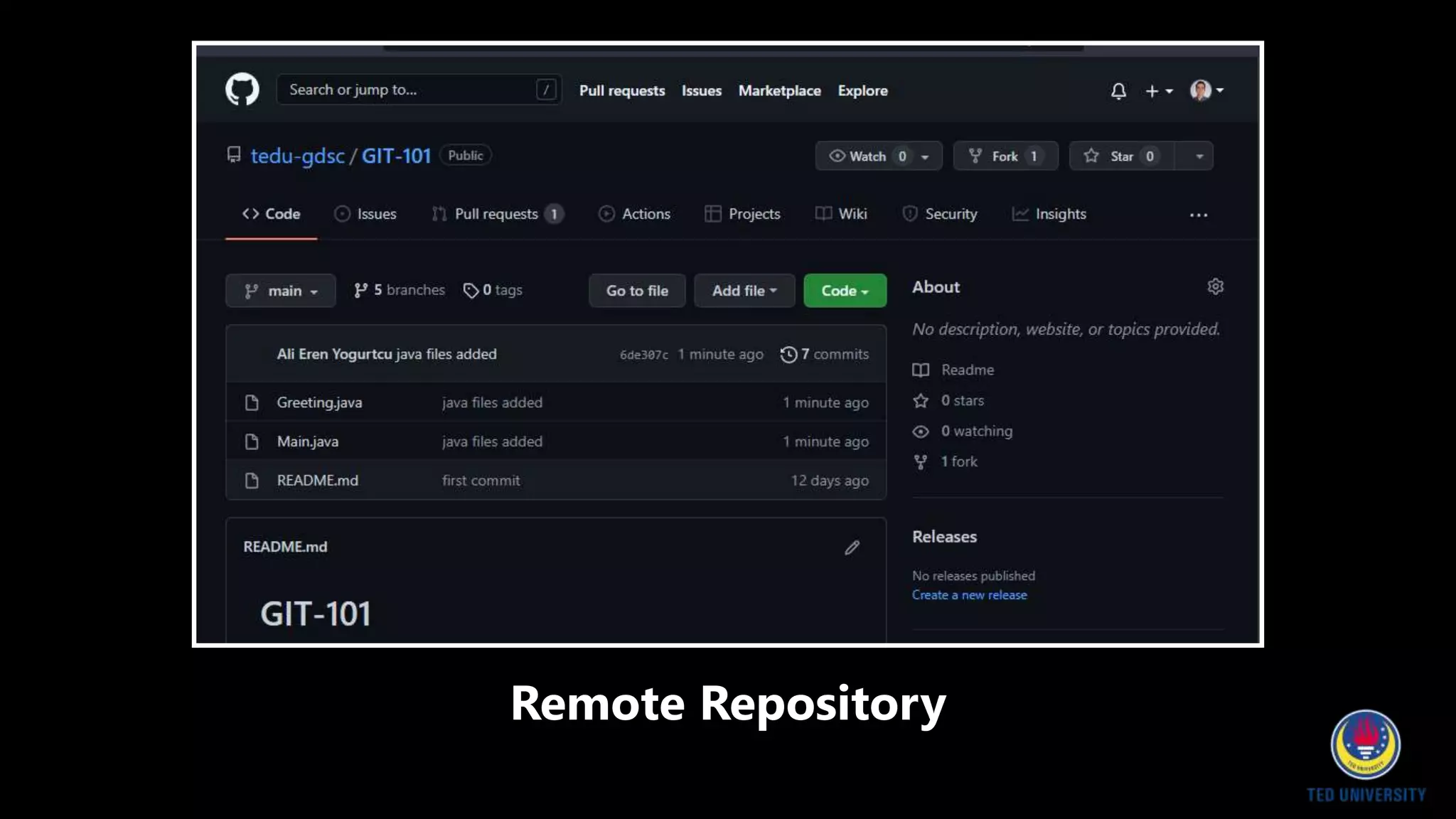 Remote Repository
 