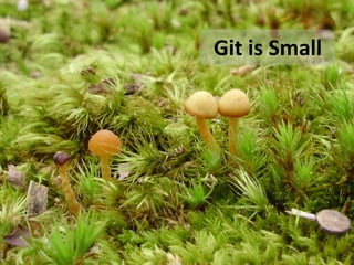 Git is Small
