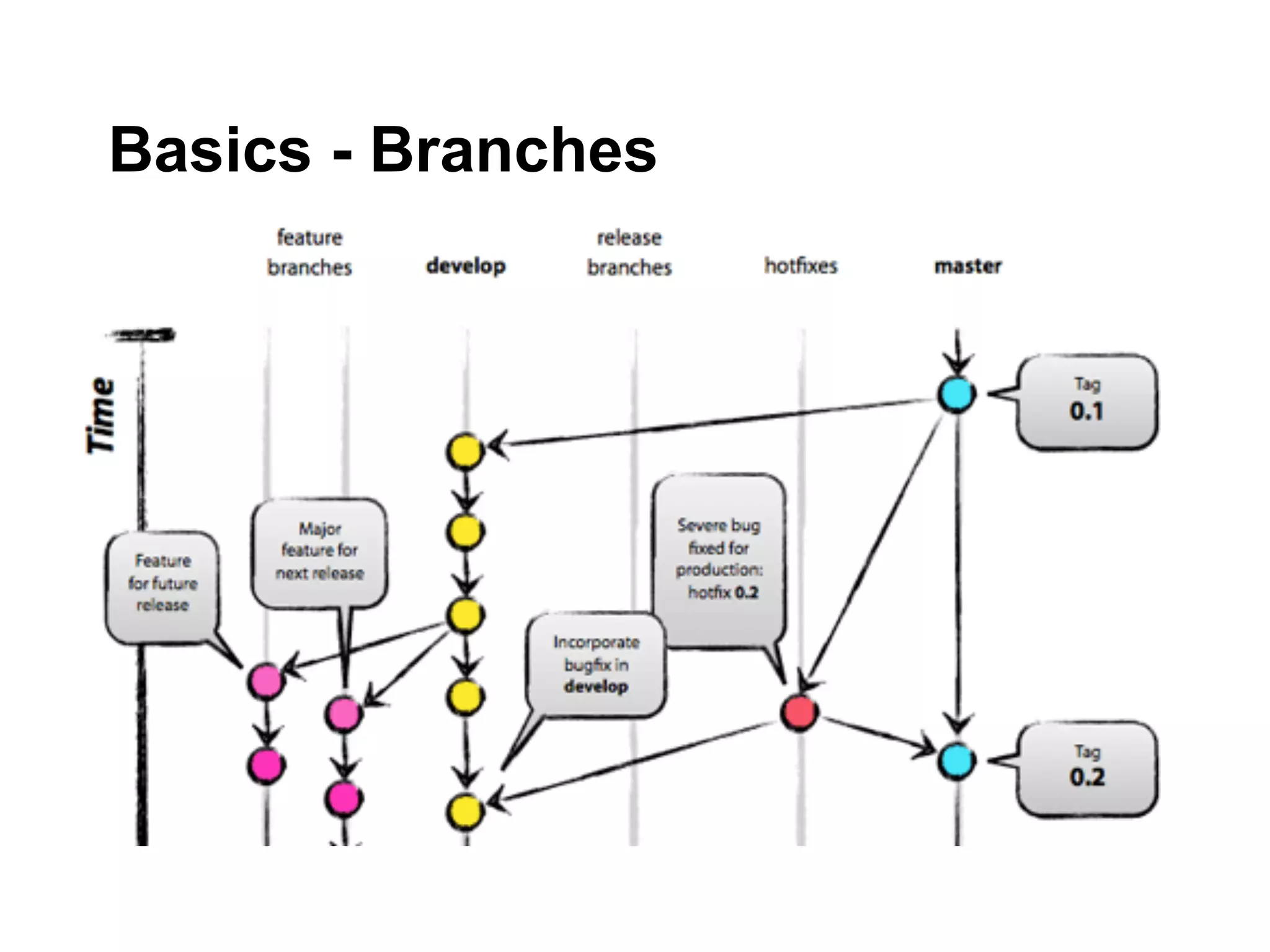 Basics - Branches
 