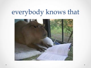 everybody  knows  that	
 