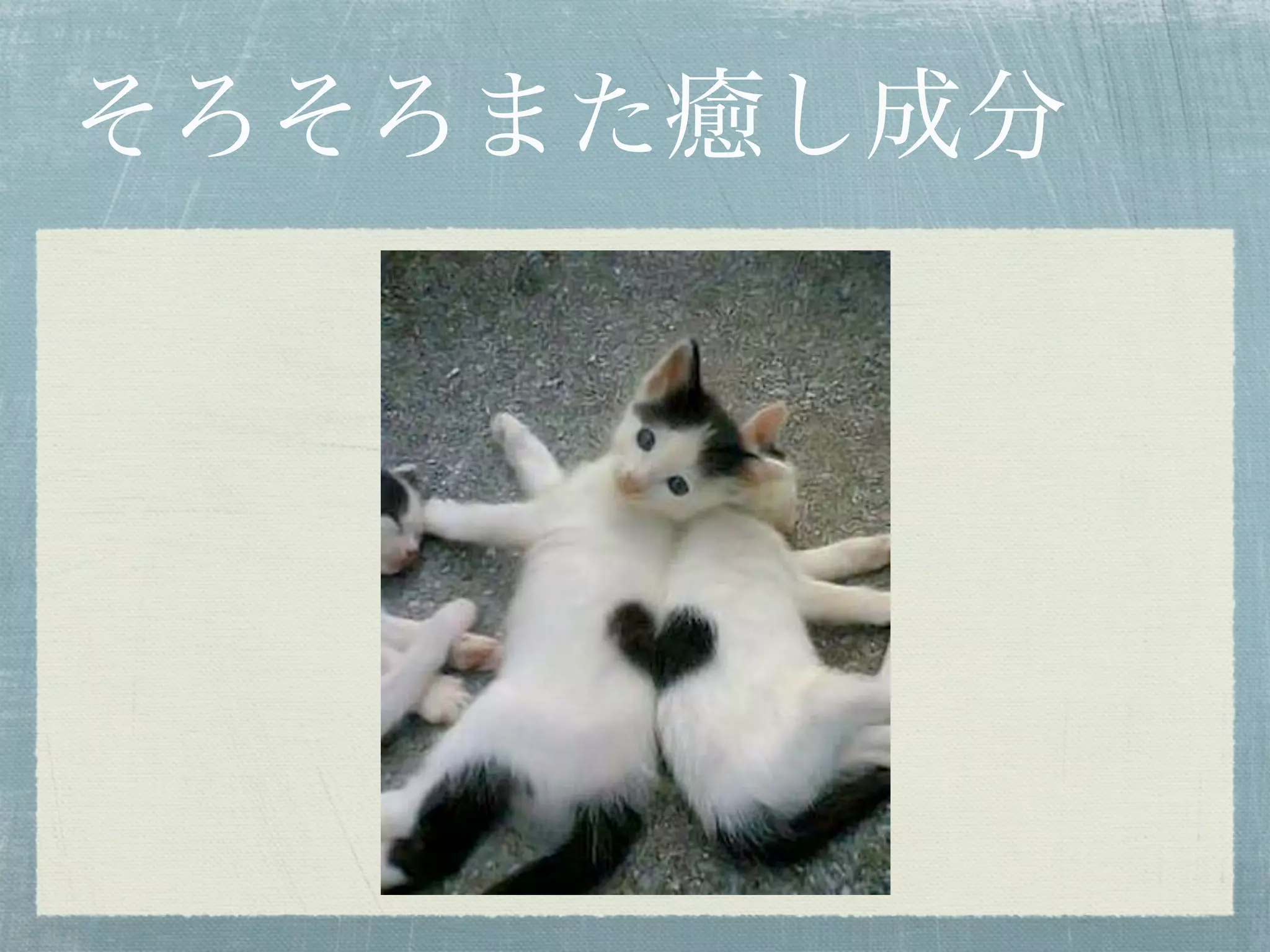 そろそろまた癒し成分
 