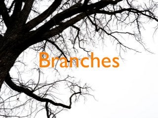Branches
 