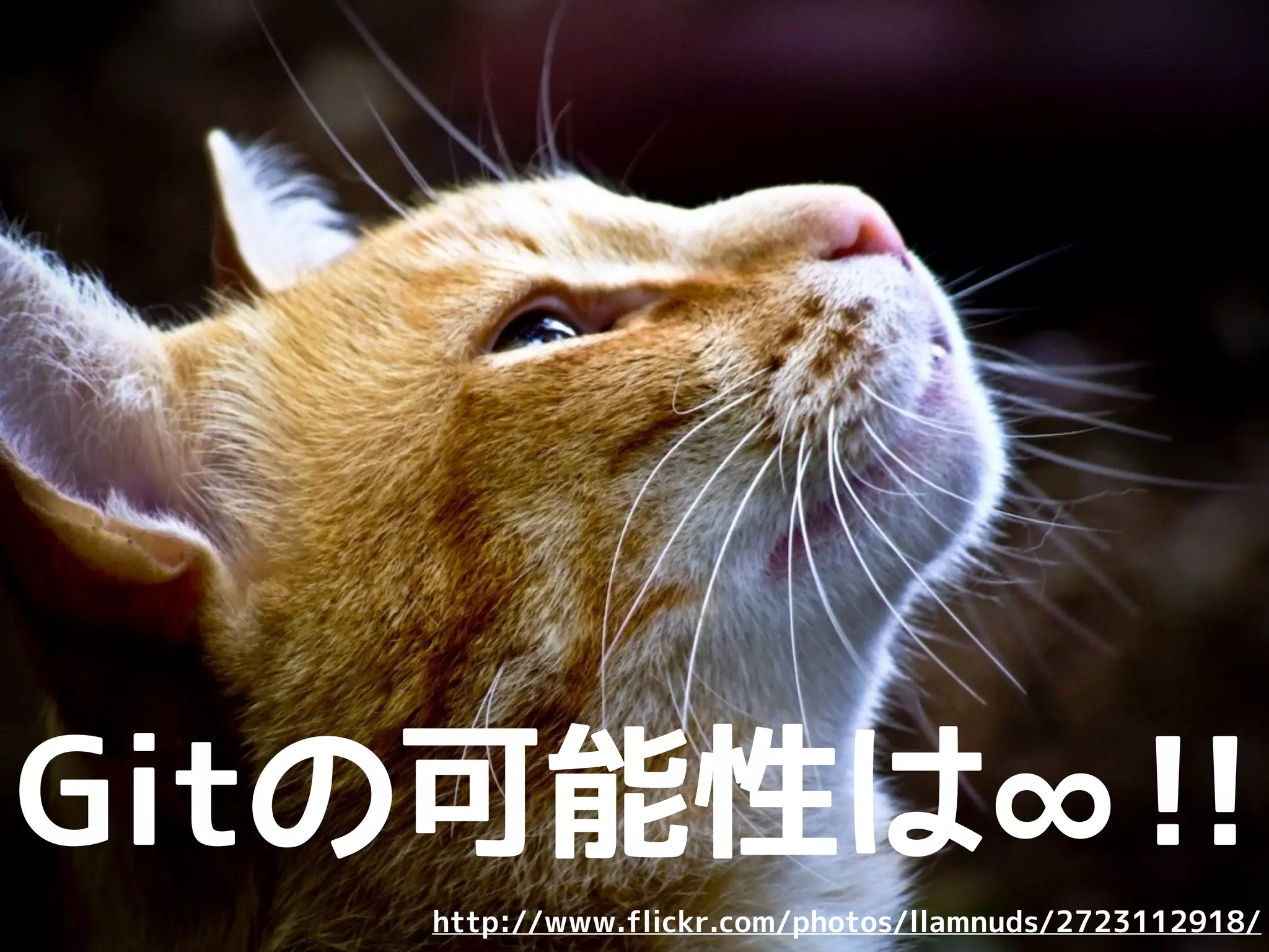 Linuxなど巨大プロジェクト
メイン
リポジトリ
developer
public
developer
public
developer
public
若頭
独裁者
若頭分を
マージ
developer
分をマージ
変更を
反映
変更
 