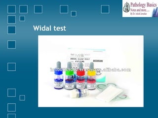 Widal Test Paper Gastrointestinal infections - bacteriology | PPT