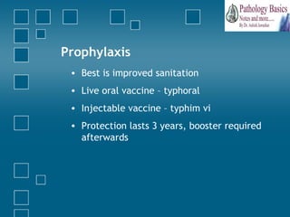Prophylactic Protection Gastrointestinal infections - bacteriology | PPT