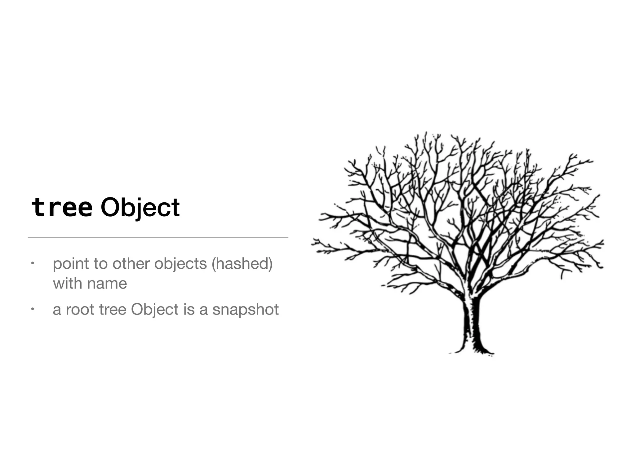 tree Object
• point to other objects (hashed)
with name

• a root tree Object is a snapshot
 