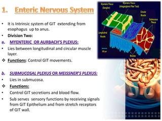 • It is Intrinsic system of GIT extending from
esophagus up to anus.
• Division Two:
• Lies between longitudinal and circular muscle
layer.
 Functions: Control GIT movements.
• Lies in submucosa.
 Functions:
• Control GIT secretions and blood flow.
• Sub serves sensory functions by receiving signals
from GIT Epithelium and from stretch receptors
of GIT wall.
 