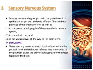  Sensory nerve endings originate in the gastrointestinal
epithelium or gut wall and send afferent fibers to both
plexuses of the enteric system, as well as
(1) to the prevertebral ganglia of the sympathetic nervous
system,
(2) to the spinal cord, and
(3) in the Vagus nerves all the way to the brain stem.
 These sensory nerves can elicit local reflexes within the
gut wall itself and still other reflexes that are relayed to
the gut from either the prevertebral ganglia or the basal
regions of the brain.
 