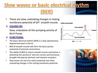 • These are slow, undulating changes in resting
membrane potential of GIT smooth muscle.
Slow, undulation of the pumping activity of
Na-K Pump.
• The basic electrical rhythm (BER) is a slow spontaneous
depolarized wave in the GI.
• BER of smooth muscle cells form the basis (action
potential) of stomach contractions.
• The ability of BER to induce smooth muscle contraction is
altered by the activity of extrinsic nerves and hormones,
brought into play by stomach and intestine receptors.
• Slow waves are not true action potential, but show
undulating changes in the resting membrane potential.
 