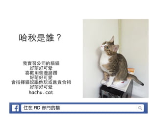 哈秋是誰？
我實習公司的貓貓
好萌好可愛
喜歡⽤用側邊磨蹭
好萌好可愛
會指揮貓奴跟他玩或進貢⻝⾷食物
好萌好可愛
hachu.cat
 