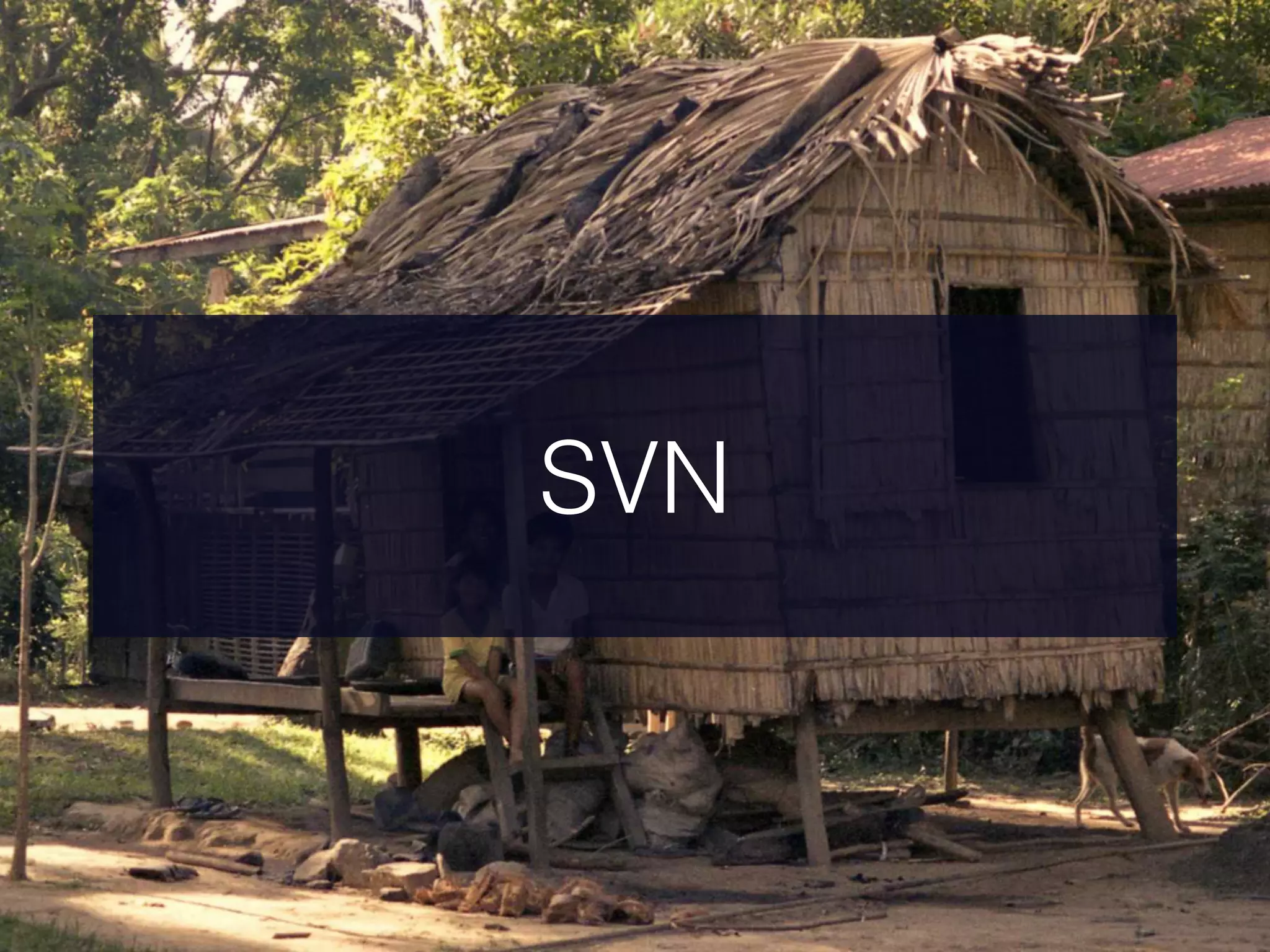 SVN
 