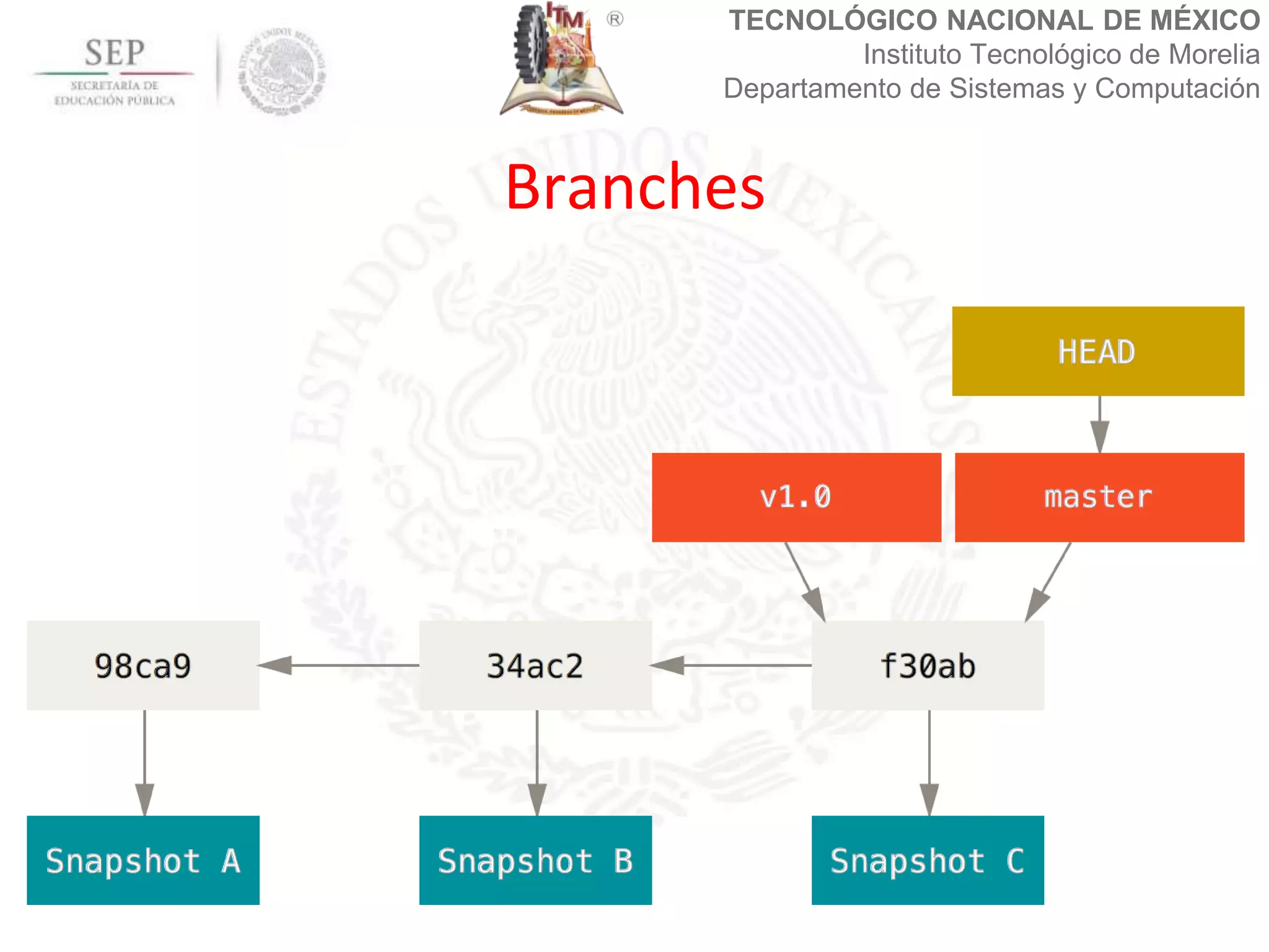 TECNOLÓGICO NACIONAL DE MÉXICO
Instituto Tecnológico de Morelia
Departamento de Sistemas y Computación
Branches
 