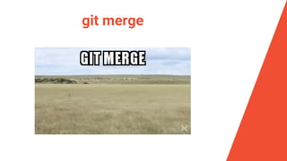 git merge
 