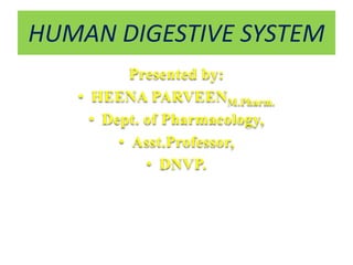 HUMAN DIGESTIVE SYSTEM
Presented by:
• HEENA PARVEENM.Pharm.
• Dept. of Pharmacology,
• Asst.Professor,
• DNVP.
 