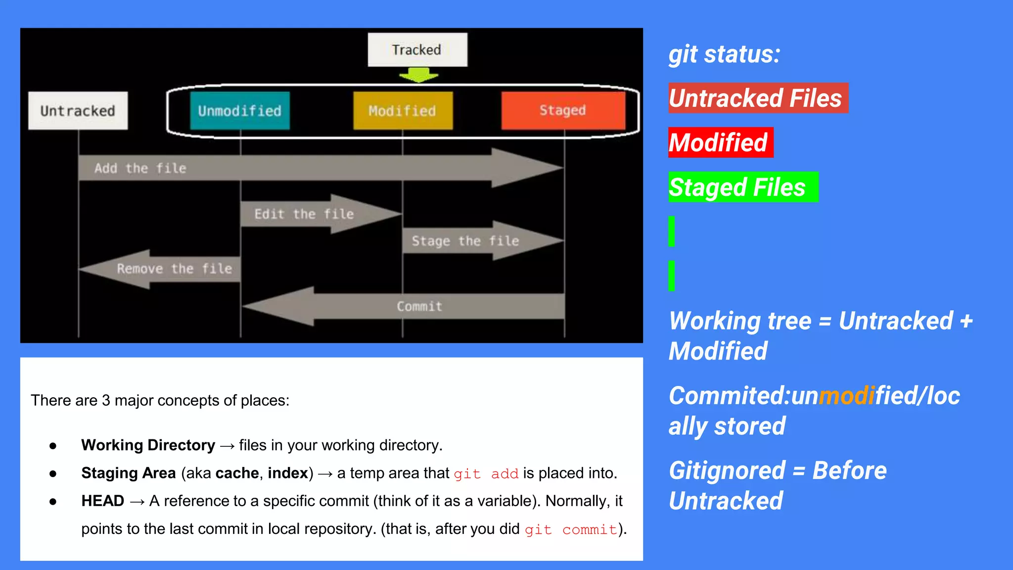 git status:
Untracked Files
Modified
Staged Files
Working tree = Untracked +
Modified
Commited:unmodified/loc
ally stored
Gitignored = Before
Untracked
There are 3 major concepts of places:
● Working Directory → files in your working directory.
● Staging Area (aka cache, index) → a temp area that git add is placed into.
● HEAD → A reference to a specific commit (think of it as a variable). Normally, it
points to the last commit in local repository. (that is, after you did git commit).
 