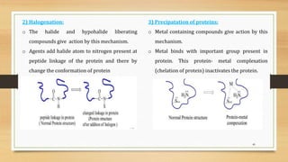 40
2) Halogenation:
o The halide and hypohalide liberating
compounds give action by this mechanism.
o Agents add halide atom to nitrogen present at
peptide linkage of the protein and there by
change the conformation of protein
3) Precipatation of proteins:
o Metal containing compounds give action by this
mechanism.
o Metal binds with important group present in
protein. This protein- metal complexation
(chelation of protein) inactivates the protein.
 