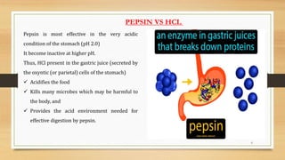 6
Pepsin is most effective in the very acidic
condition of the stomach (pH 2.0)
It become inactive at higher pH.
Thus, HCl present in the gastric juice (secreted by
the oxyntic (or parietal) cells of the stomach)
 Acidifies the food
 Kills many microbes which may be harmful to
the body, and
 Provides the acid environment needed for
effective digestion by pepsin.
PEPSIN VS HCL
 