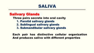 SALIVA
Salivary Glands
Three pairs secrete into oral cavity
1. Parotid salivary glands
2. Sublingual salivary glands
3. Submandibular salivary glands
Each pair has distinctive cellular organization
And produces saliva with different properties
 